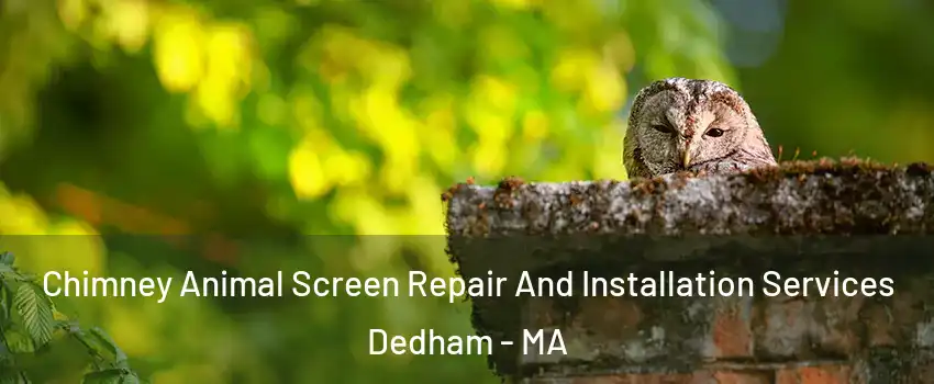  Chimney Animal Screen Repair And Installation Services Dedham - MA