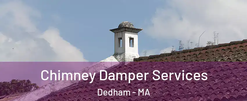  Chimney Damper Services Dedham - MA