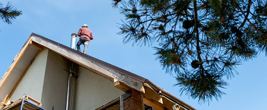 Birds Removal Contractors from Chimney in Dedham, MA