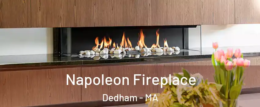  Napoleon Fireplace Dedham - MA